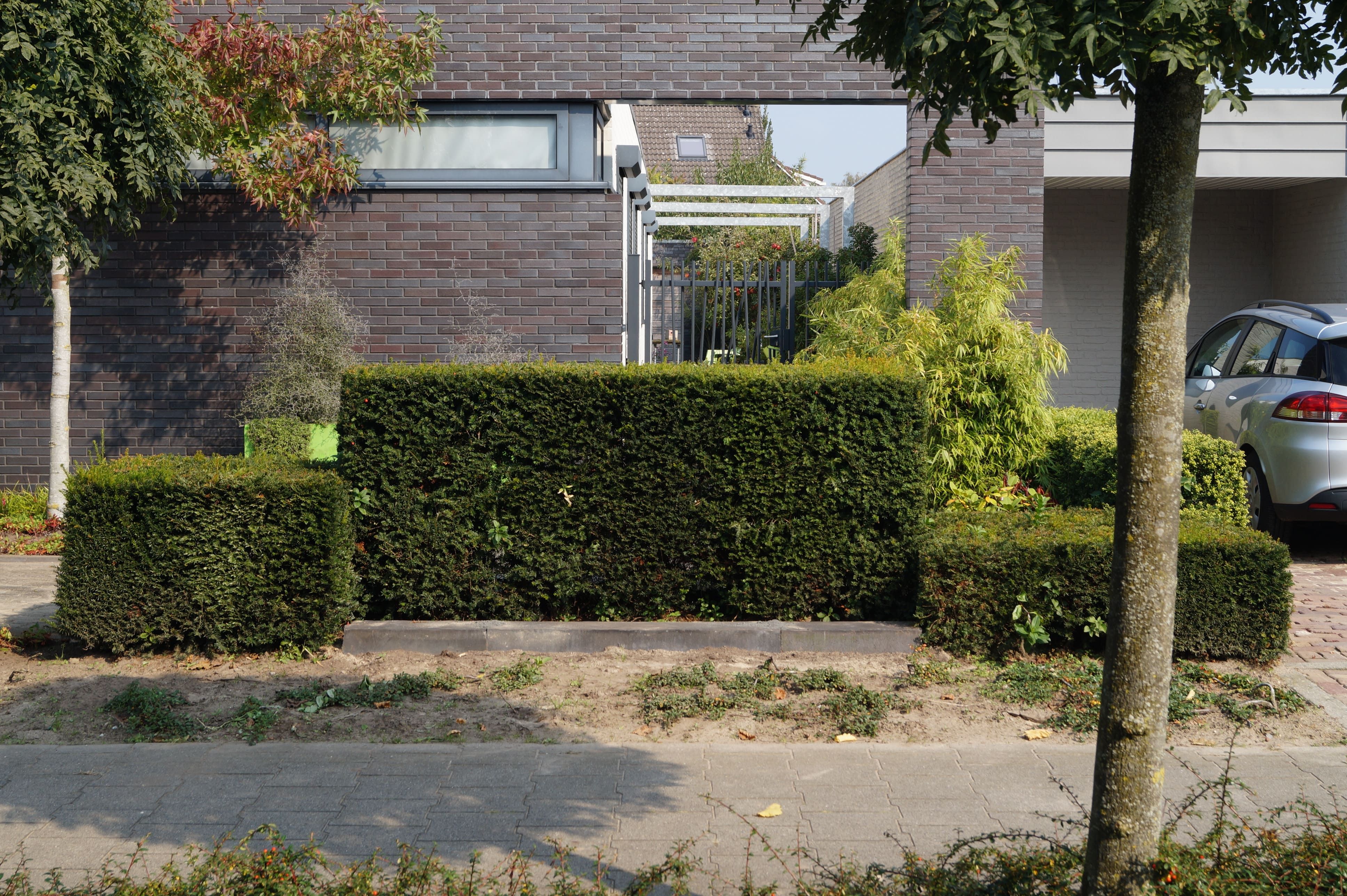 De kans op inbraak verminderen met hagen