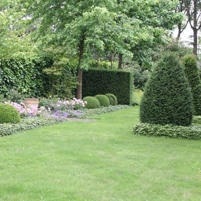 Wanneer kan ik de tuin winterklaar maken?