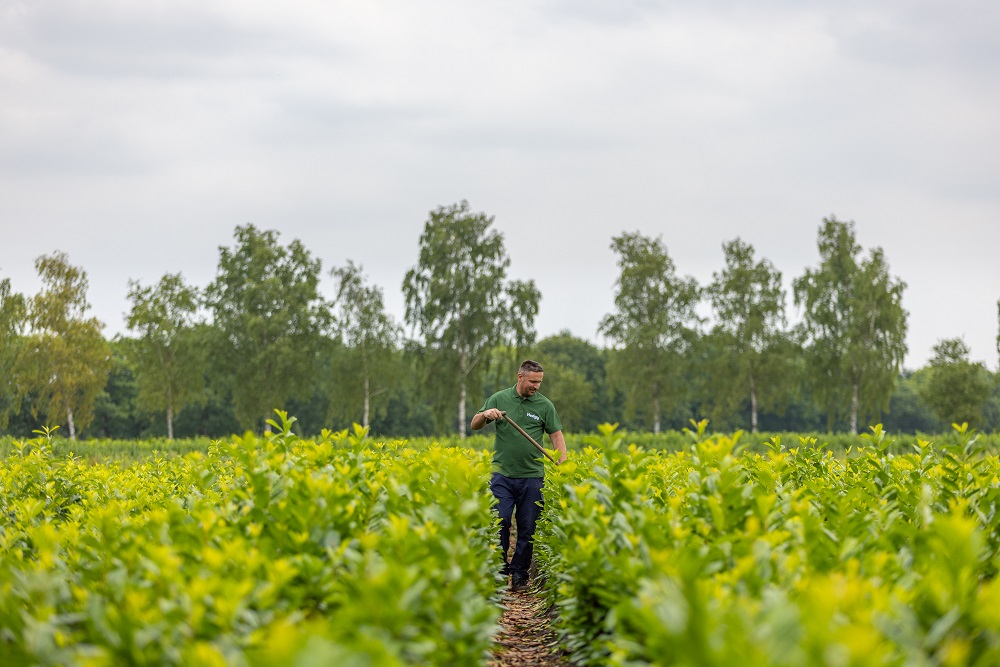Medewerker_Schoffelt_Tussen_De_Haagplanten