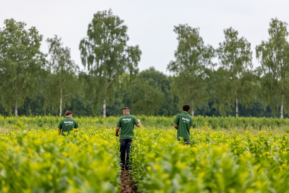 Winterharde_Hagen_Worden_Verzorgd_Kwekerij